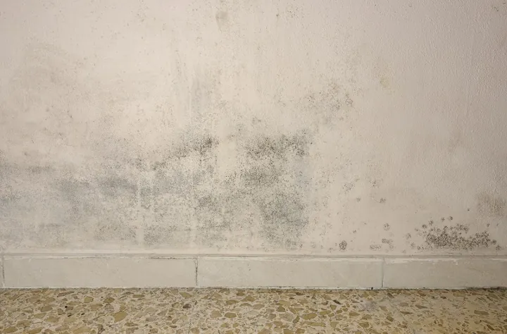 Impermeabilização de Parede